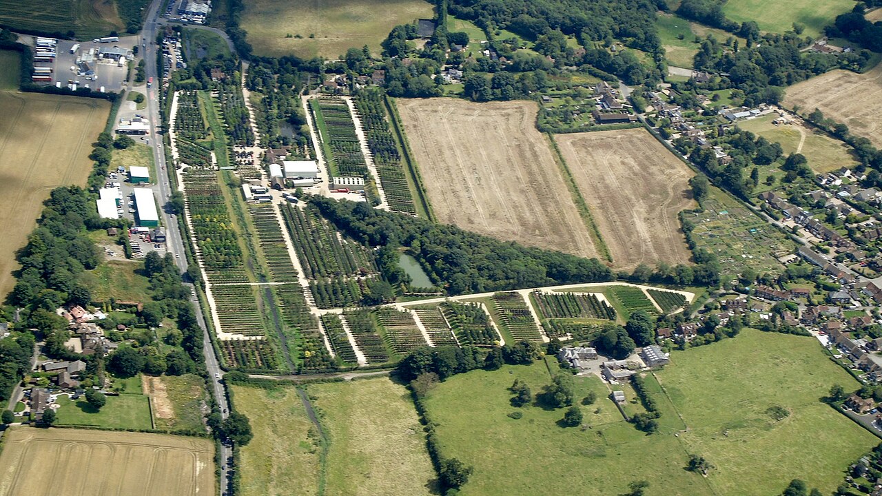 pépinière plants arbres