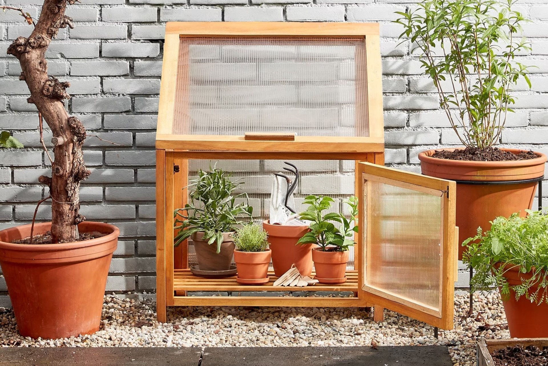 Accessoires de jardinage d'intérieur posés près de plantes en pot : arrosoir, sécateur et cache-pot